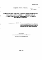 Формирование организационно-экономического механизма управления эффективностью функционирования предприятий угольной промышленности - тема автореферата по экономике, скачайте бесплатно автореферат диссертации в экономической библиотеке