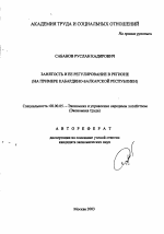 Занятость и ее регулирование в регионе - тема автореферата по экономике, скачайте бесплатно автореферат диссертации в экономической библиотеке