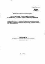 Стратегическое управление трудовым потенциалом машиностроительного предприятия - тема автореферата по экономике, скачайте бесплатно автореферат диссертации в экономической библиотеке
