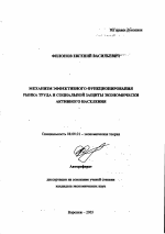 Механизм эффективного функционирования рынка труда и социальной защиты экономически активного населения - тема автореферата по экономике, скачайте бесплатно автореферат диссертации в экономической библиотеке