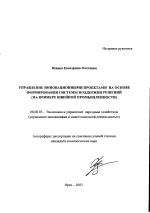 Управление инновационными проектами на основе формирования системы поддержки решений - тема автореферата по экономике, скачайте бесплатно автореферат диссертации в экономической библиотеке