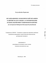 Организационно-экономический механизм развития малого бизнеса и формирования региональной инвестиционной политики - тема автореферата по экономике, скачайте бесплатно автореферат диссертации в экономической библиотеке