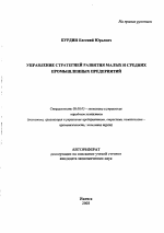 Управление стратегией развития малых и средних промышленных предприятий - тема автореферата по экономике, скачайте бесплатно автореферат диссертации в экономической библиотеке