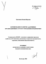 Формирование и развитие адаптивных организационных структур управления предприятием - тема автореферата по экономике, скачайте бесплатно автореферат диссертации в экономической библиотеке