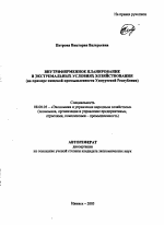 Внутрифирменное планирование в экстремальных условиях хозяйствования - тема автореферата по экономике, скачайте бесплатно автореферат диссертации в экономической библиотеке