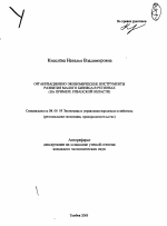 Организационно-экономические инструменты развития малого бизнеса в регионах - тема автореферата по экономике, скачайте бесплатно автореферат диссертации в экономической библиотеке