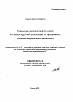 Социально-экономический механизм мотивации трудовой деятельности на предприятиях топливно-энергетического комплекса - тема автореферата по экономике, скачайте бесплатно автореферат диссертации в экономической библиотеке
