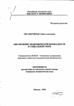 Обеспечение экономической безопасности в социальной сфере - тема автореферата по экономике, скачайте бесплатно автореферат диссертации в экономической библиотеке
