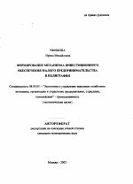 Формирование механизма инвестиционного обеспечения малого предпринимательства в полиграфии - тема автореферата по экономике, скачайте бесплатно автореферат диссертации в экономической библиотеке