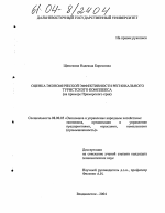 Оценка экономической эффективности регионального туристского комплекса - тема диссертации по экономике, скачайте бесплатно в экономической библиотеке
