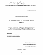 Развитие туризма на муниципальном уровне - тема диссертации по экономике, скачайте бесплатно в экономической библиотеке