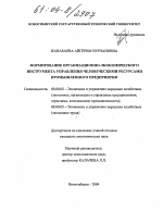 Формирование организационно-экономического инструмента управления человеческими ресурсами промышленного предприятия - тема диссертации по экономике, скачайте бесплатно в экономической библиотеке