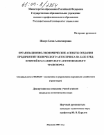Организационно-экономические аспекты создания предприятий технического автосервиса на базе предприятий пассажирского автомобильного транспорта - тема диссертации по экономике, скачайте бесплатно в экономической библиотеке