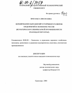Формирование направлений устойчивого развития предприятий в экономике России - тема диссертации по экономике, скачайте бесплатно в экономической библиотеке