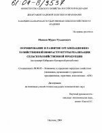 Формирование и развитие организационно-хозяйственной инфраструктуры реализации сельскохозяйственной продукции - тема диссертации по экономике, скачайте бесплатно в экономической библиотеке