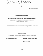 Организация экономического и социального развития муниципальных образований приморского типа - тема диссертации по экономике, скачайте бесплатно в экономической библиотеке