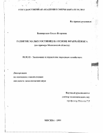 Развитие малых гостиниц на основе франчайзинга - тема диссертации по экономике, скачайте бесплатно в экономической библиотеке