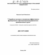 Разработка методов и механизмов эффективного формирования и функционирования финансово-промышленных групп - тема диссертации по экономике, скачайте бесплатно в экономической библиотеке