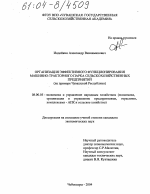 Организация эффективного функционирования машинно-тракторного парка сельскохозяйственных предприятий - тема диссертации по экономике, скачайте бесплатно в экономической библиотеке