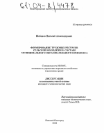 Формирование трудовых ресурсов сельской молодежи в составе муниципального образовательного комплекса - тема диссертации по экономике, скачайте бесплатно в экономической библиотеке