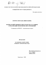 Формы хозяйственного пространства в условиях глобализации экономических отношений - тема диссертации по экономике, скачайте бесплатно в экономической библиотеке