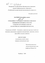 Управление устойчивым развитием социально-экономической инфраструктуры сельских населенных пунктов - тема диссертации по экономике, скачайте бесплатно в экономической библиотеке
