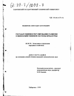 Государственное регулирование развития социохозяйственной системы Приамурья - тема диссертации по экономике, скачайте бесплатно в экономической библиотеке