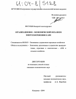 Организационно-экономический механизм энергосбережения в АПК - тема диссертации по экономике, скачайте бесплатно в экономической библиотеке