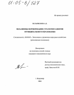 Механизмы формирования стратегии развития муниципального образования - тема диссертации по экономике, скачайте бесплатно в экономической библиотеке
