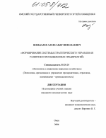Формирование системы стратегического управления развитием промышленных предприятий - тема диссертации по экономике, скачайте бесплатно в экономической библиотеке