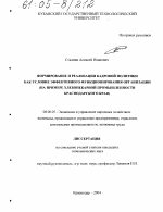 Формирование и реализация кадровой политики как условие эффективного функционирования организации - тема диссертации по экономике, скачайте бесплатно в экономической библиотеке