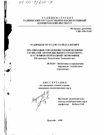 Организация управления техническими службами автомобильного транспорта в условиях переходной экономики - тема диссертации по экономике, скачайте бесплатно в экономической библиотеке