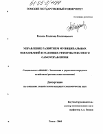 Управление развитием муниципальных образований в условиях реформы местного самоуправления - тема диссертации по экономике, скачайте бесплатно в экономической библиотеке