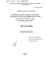 Совершенствование механизма управления экономикой региона на муниципальном уровне - тема диссертации по экономике, скачайте бесплатно в экономической библиотеке