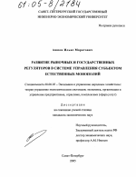 Развитие рыночных и государственных регуляторов в системе управления субъектом естественных монополий - тема диссертации по экономике, скачайте бесплатно в экономической библиотеке