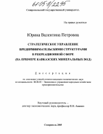 Стратегическое управление предпринимательскими структурами в рекреационной сфере - тема диссертации по экономике, скачайте бесплатно в экономической библиотеке