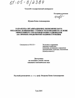 Разработка организационно-экономического механизма повышения стоимости компании на основе эффективного управления бизнес-единицами - тема диссертации по экономике, скачайте бесплатно в экономической библиотеке