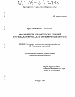 Эффективность управленческих решений в региональной социально-экономической системе - тема диссертации по экономике, скачайте бесплатно в экономической библиотеке