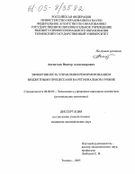Эффективность управления реформированием бюджетными процессами на региональном уровне - тема диссертации по экономике, скачайте бесплатно в экономической библиотеке