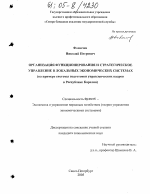 Организация функционирования и стратегическое управление в локальных экономических системах - тема диссертации по экономике, скачайте бесплатно в экономической библиотеке