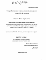 Формирование и механизм эффективного использования финансово-бюджетных ресурсов субъекта Российской Федерации - тема диссертации по экономике, скачайте бесплатно в экономической библиотеке