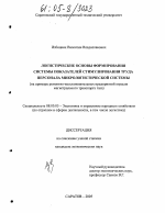 Логистические основы формирования системы показателей стимулирования труда персонала микрологистической системы - тема диссертации по экономике, скачайте бесплатно в экономической библиотеке