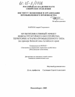 Мультипликативный эффект инфраструктурного обустройства территории аграрно-промышленного типа - тема диссертации по экономике, скачайте бесплатно в экономической библиотеке