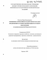 Повышение эффективности деятельности малых предприятий на основе оптимизации ресурсного обеспечения - тема диссертации по экономике, скачайте бесплатно в экономической библиотеке