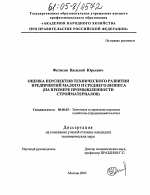 Оценка перспектив технического развития предприятий малого и среднего бизнеса - тема диссертации по экономике, скачайте бесплатно в экономической библиотеке