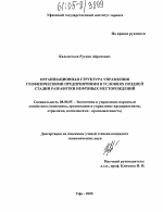 Организационная структура управления геофизическими предприятиями в условиях поздней стадии разработки нефтяных месторождений - тема диссертации по экономике, скачайте бесплатно в экономической библиотеке