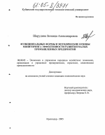 Функциональные формы и методические основы мониторинга эффективности развития малых промышленных предприятий - тема диссертации по экономике, скачайте бесплатно в экономической библиотеке