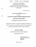 Сельские подворья в период формирования рыночных отношений - тема диссертации по экономике, скачайте бесплатно в экономической библиотеке