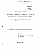 Развитие управления локальной естественной монополией в регионе на основе концессии - тема диссертации по экономике, скачайте бесплатно в экономической библиотеке