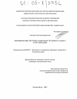 Формирование системы социально-трудового аудита в организации - тема диссертации по экономике, скачайте бесплатно в экономической библиотеке